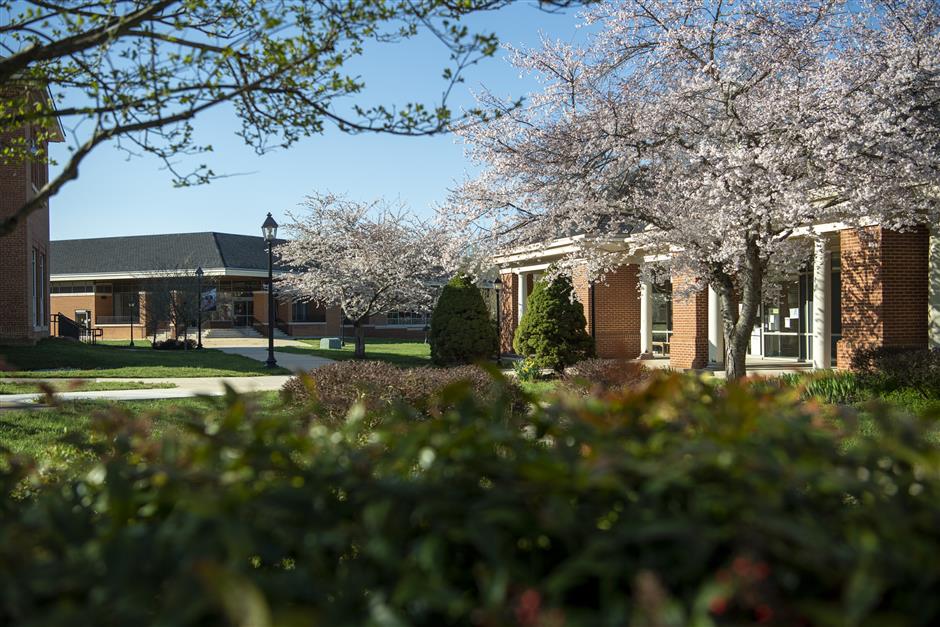 Login College of Southern Maryland